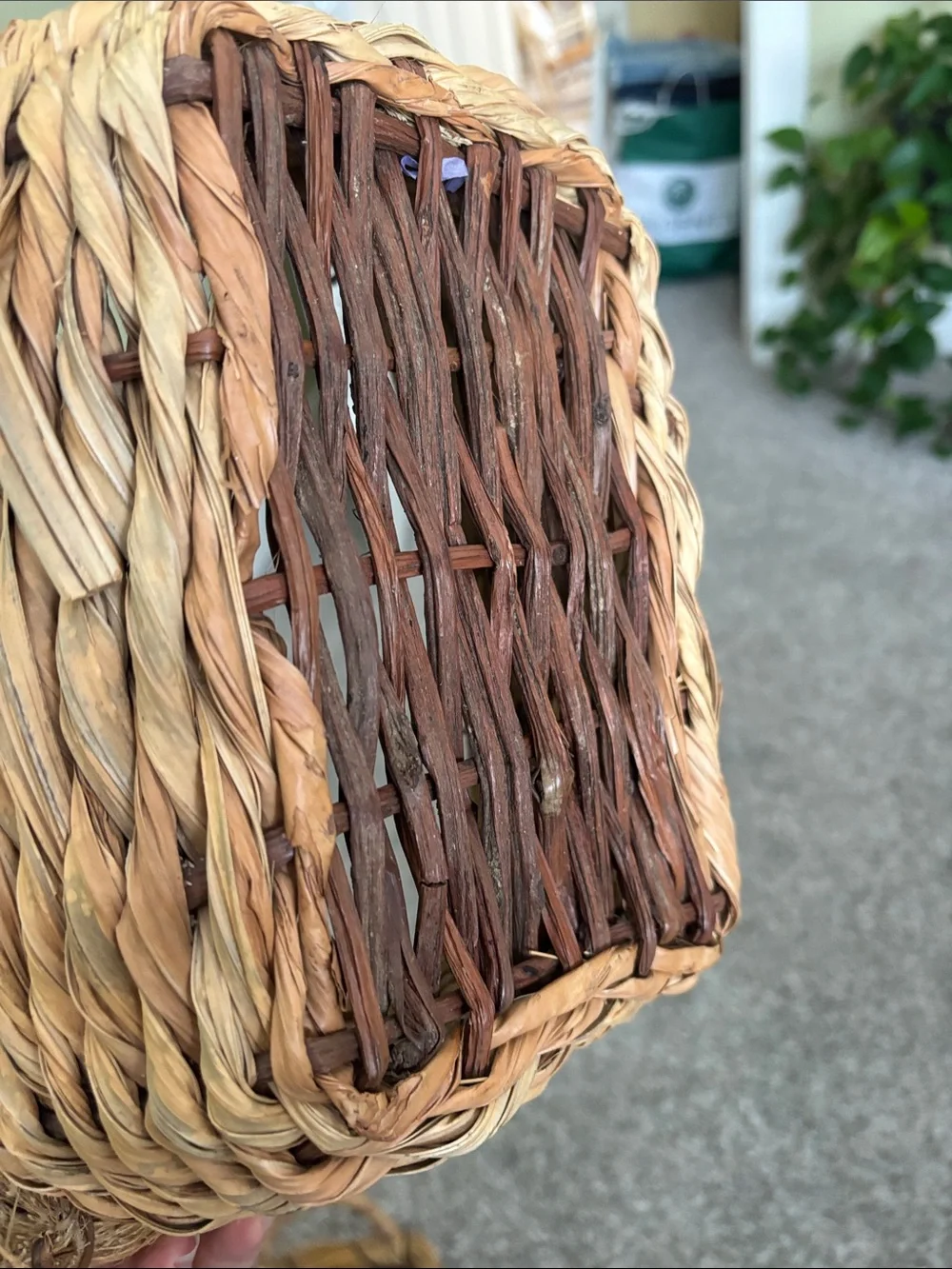 Pottery Barn Natural Woven Basket Set in Brown Tones